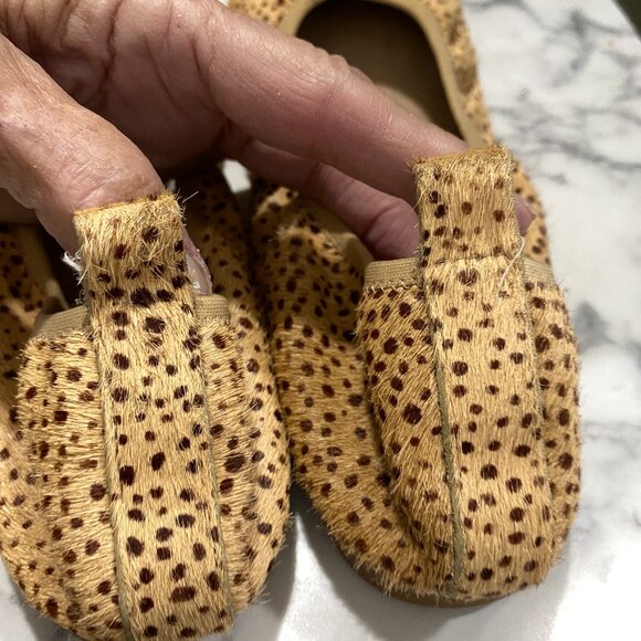 EUC~Chelsea & Violet 'Ruby' Leopard Calf Hair Ballet Flat~8 - Picture 4 of 15